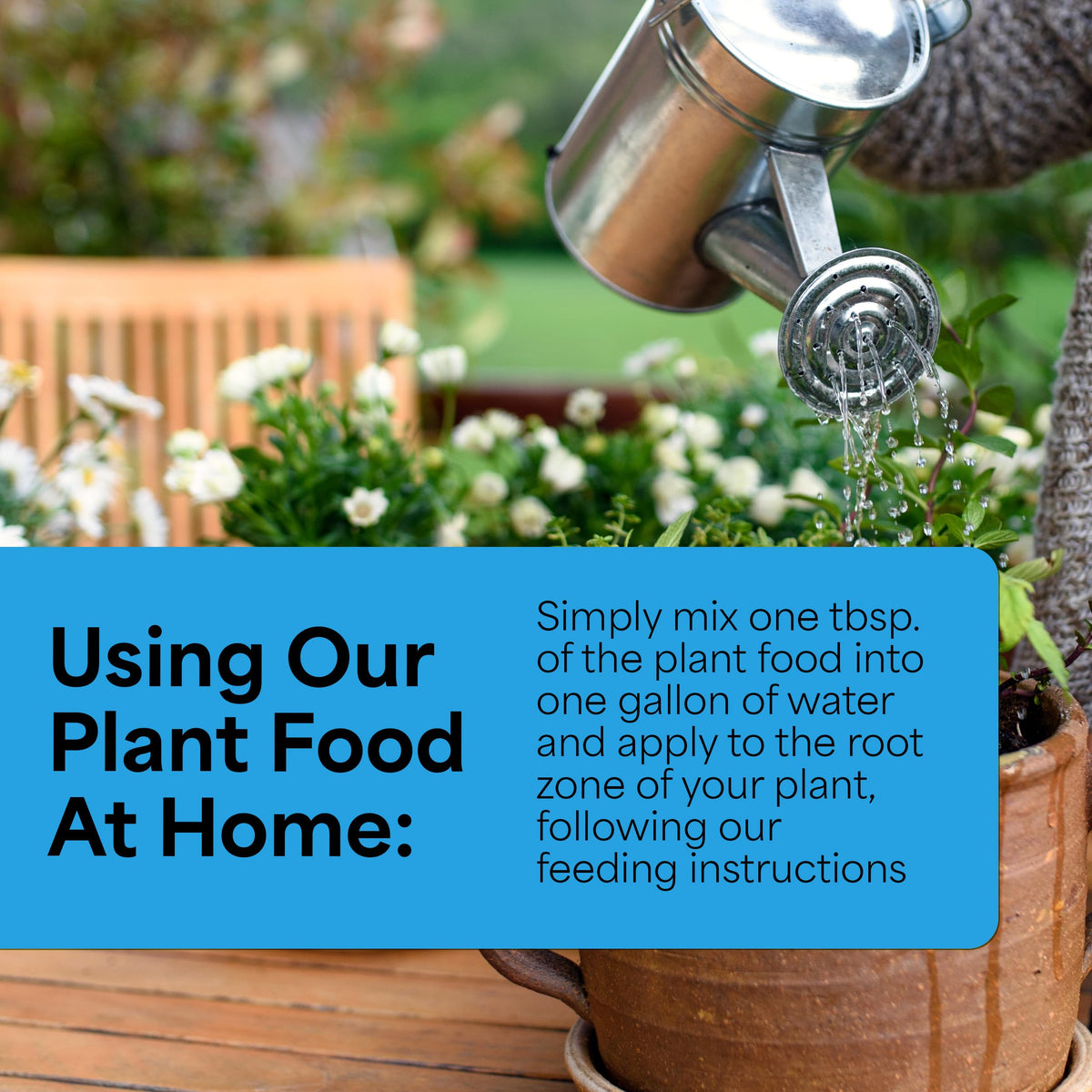 Grow More 30-10-10 vegetables thriving with balanced nutrients.