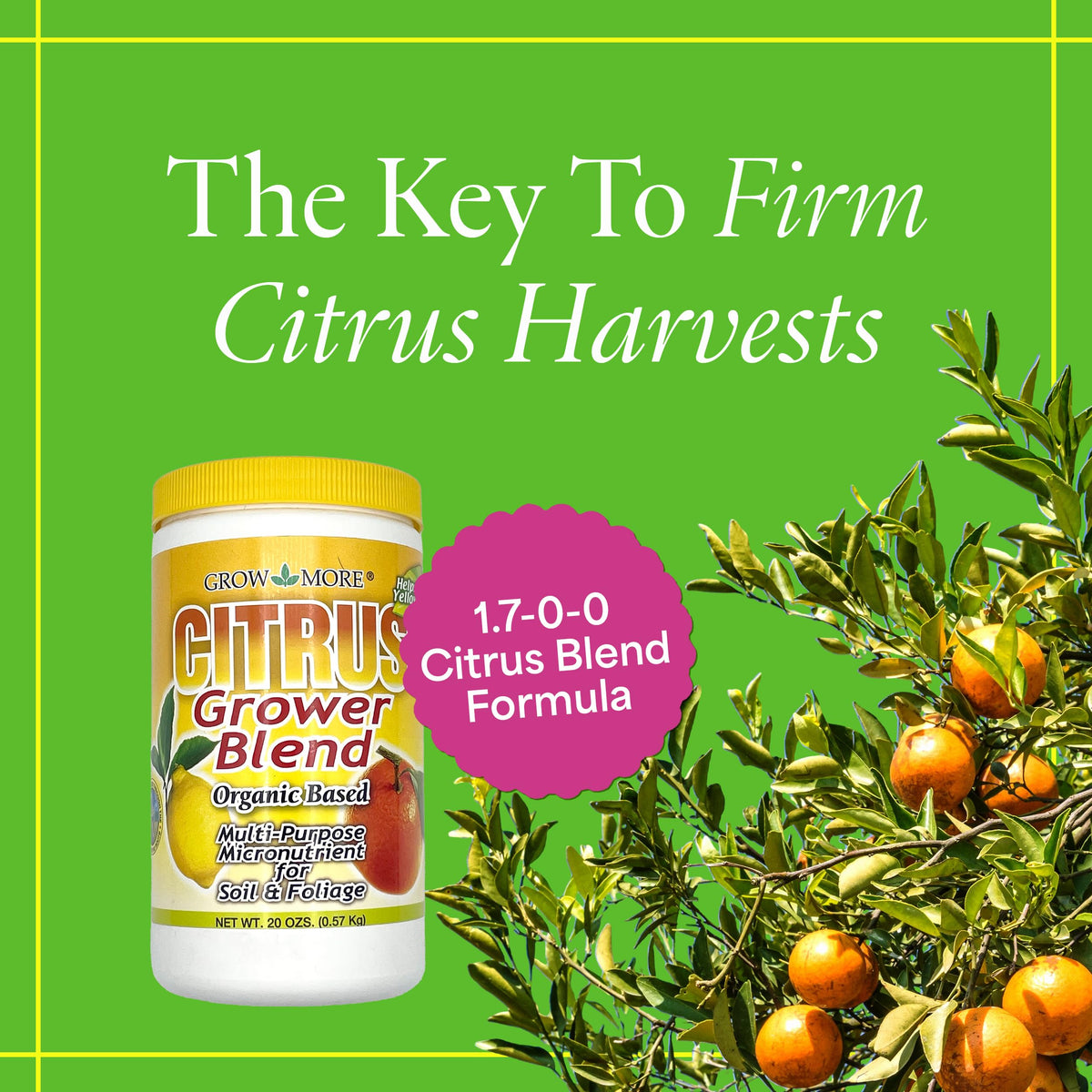 Grow More Citrus Grower Blend granules close-up highlighting chelated micronutrients for absorption.