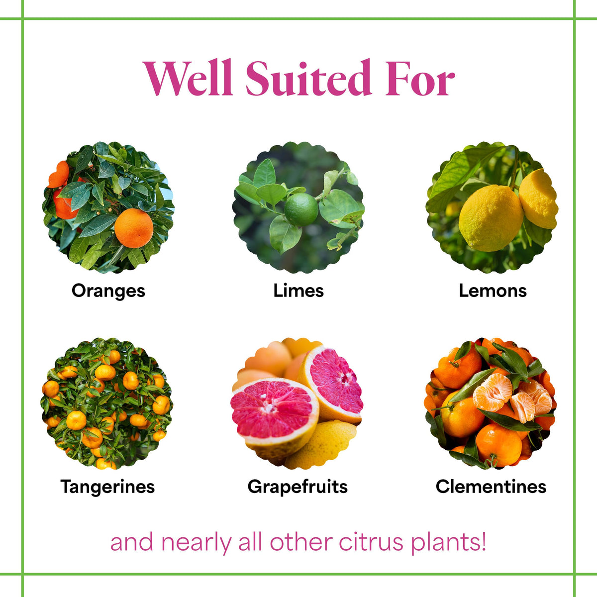 Grow More Citrus Grower Blend label shows organic formula and USA-made quality.