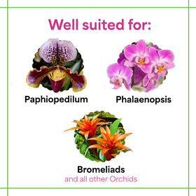 Grow More orchid fertilizer measuring spoon enables precise, hassle-free feeding.