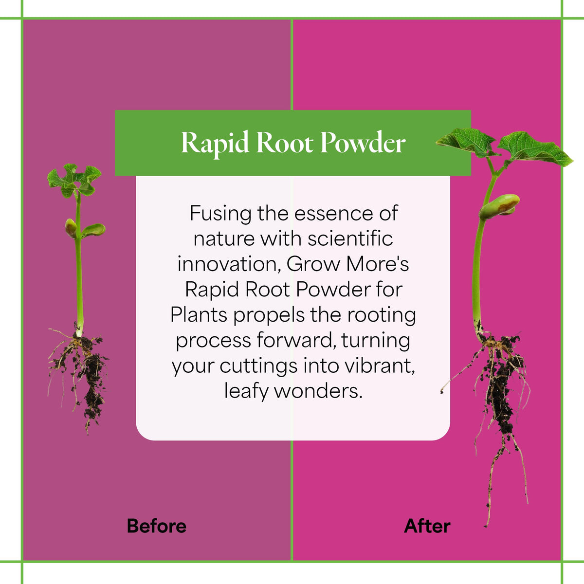 Grow More powder supports propagation with healthy root initiation in cuttings.