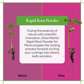 Grow More powder supports propagation with healthy root initiation in cuttings.