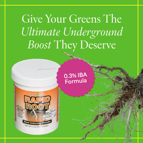 Grow More Rapid Root Powder ready for a single-dip application.