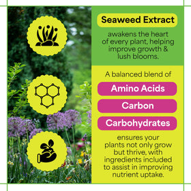 Grow More Sea Grow Kelp Fertilizer dispersed on soil with lush greenery
