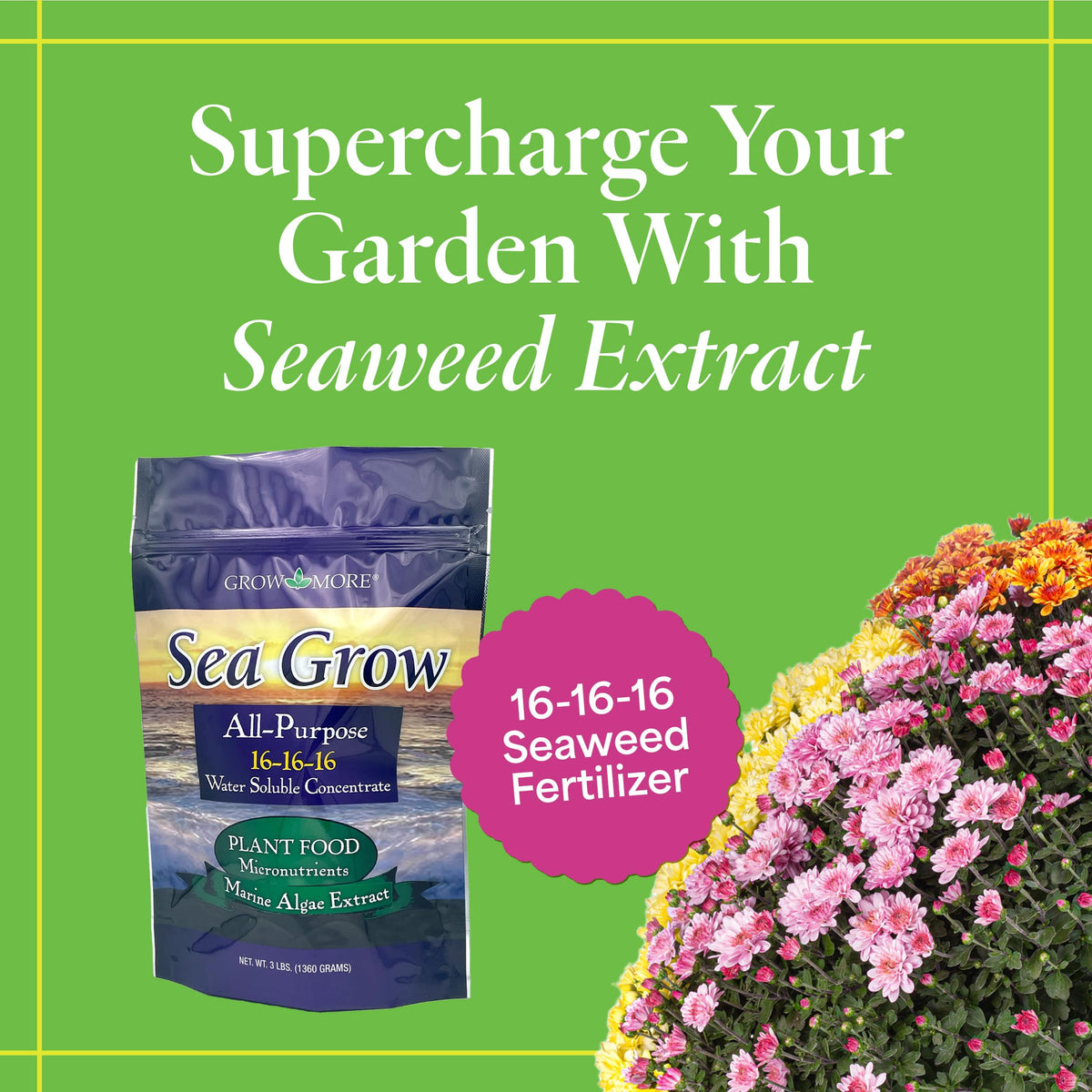 Grow More Sea Grow Kelp Fertilizer dissolving process showing quick mix