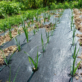 Groweco weed barrier in garden path provides durability and permeability