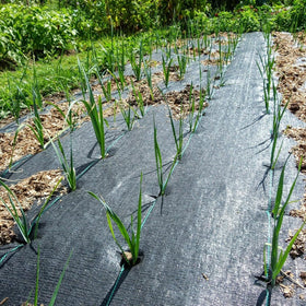 Groweco weed barrier underlayment for vegetable paths and raised beds.