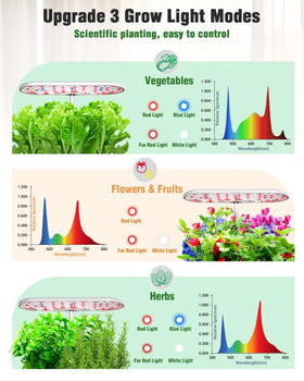 Growell hydroponics 16-pods in-use display for efficient multi-plant cultivation at home.