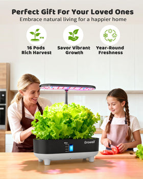 Growell hydroponics all-in-one kit ideal for beginners and urban growers.