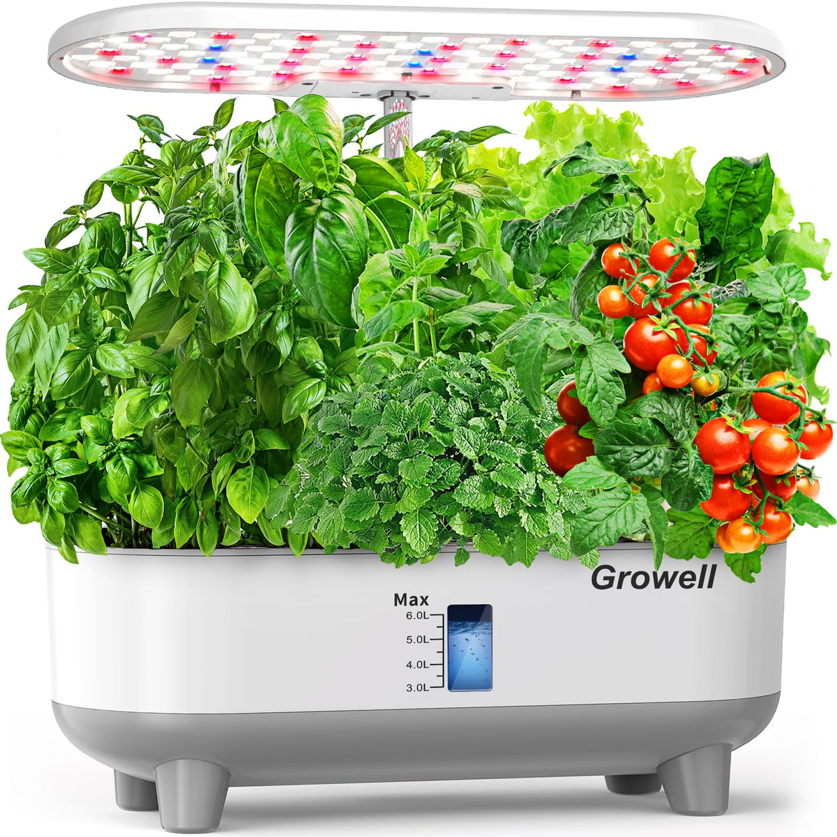 Growell hydroponics system front view highlighting compact indoor garden for year-round herbs.