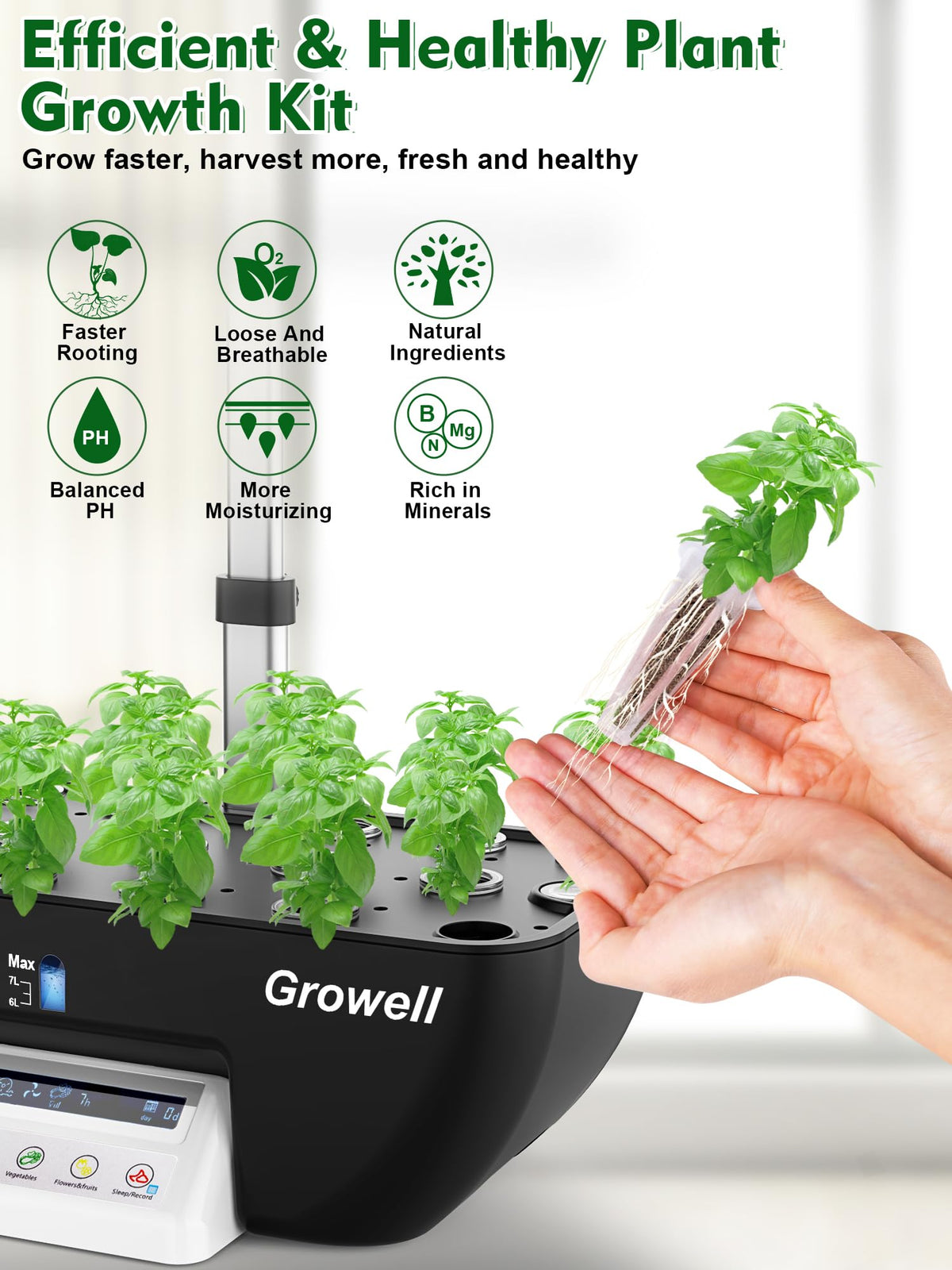 Growell Seed Pod Kit A&B nutrients deliver balanced feed for robust plant development.