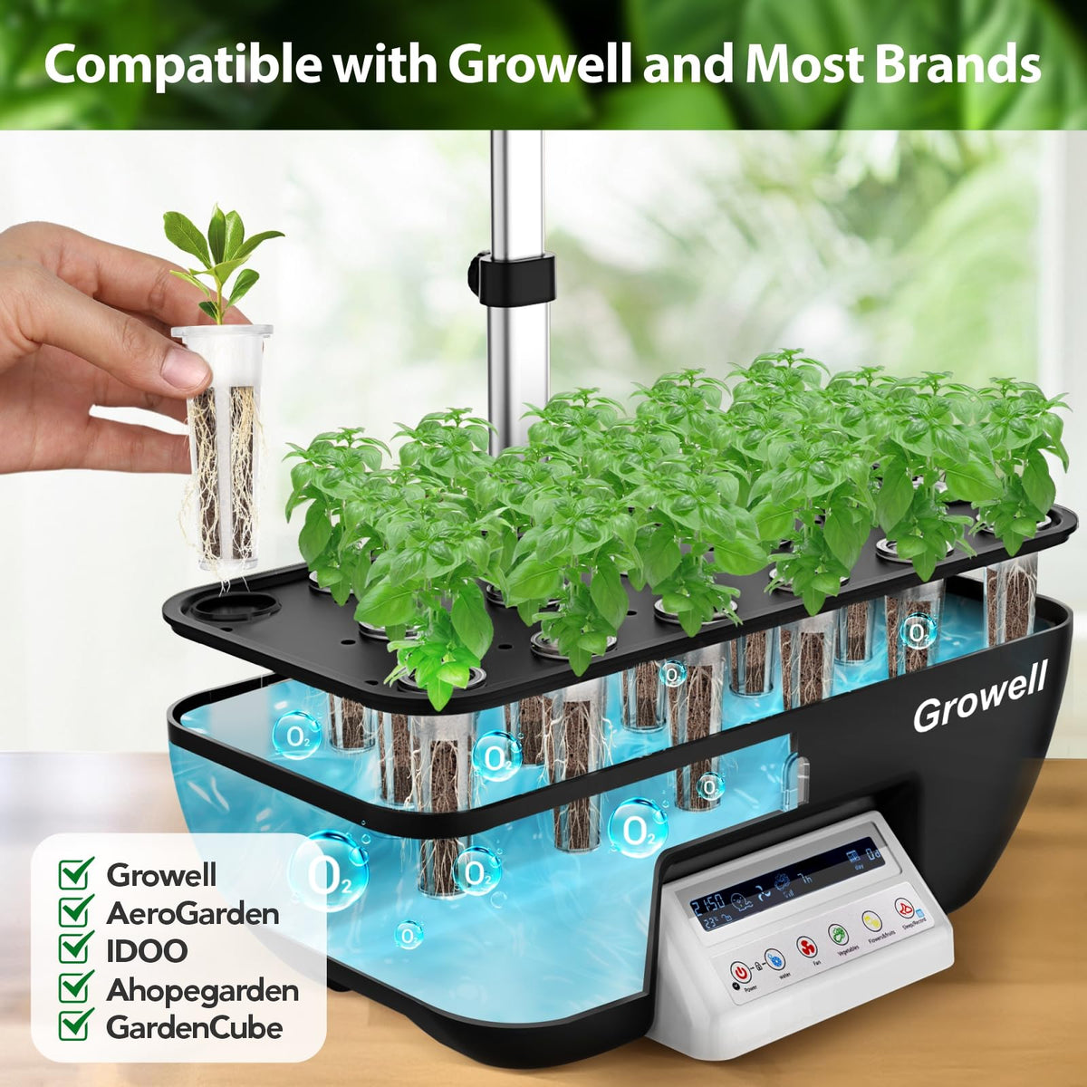Growell tomato pepper and strawberry greens with versatile transplant options.