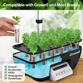 Growell tomato pepper and strawberry greens with versatile transplant options.