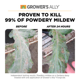 Grower's Ally dilution measure cup for up to five gallons