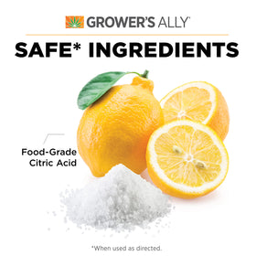 Grower's Ally spray on leaves forming a mildew barrier