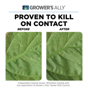 Spraying Grower’s Ally Spider Mite Control on plant leaves for preventative pest protection.