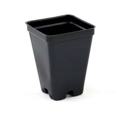 Grower's Solution 2.5-inch square greenhouse pot in black with deep profile, ideal for cuttings.
