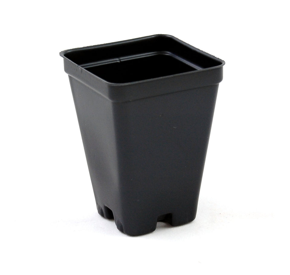 Grower's Solution 2.5-inch square greenhouse pot in black with deep profile, ideal for cuttings.