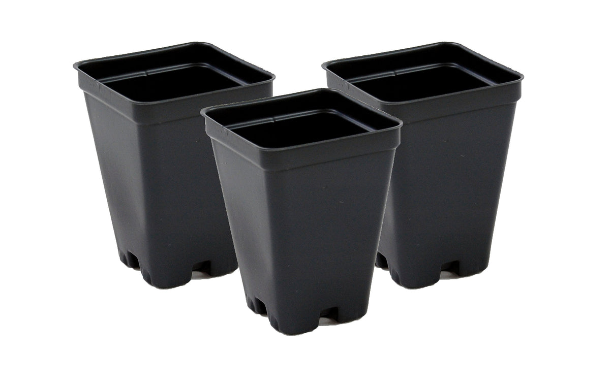 Grower's Solution 2.5-inch square greenhouse pot in black, durable for annuals and small transplants.