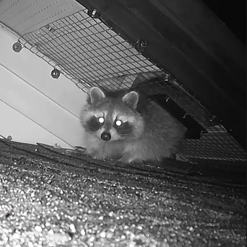 GROWLING quick results within 24 to 72 hours after installation.