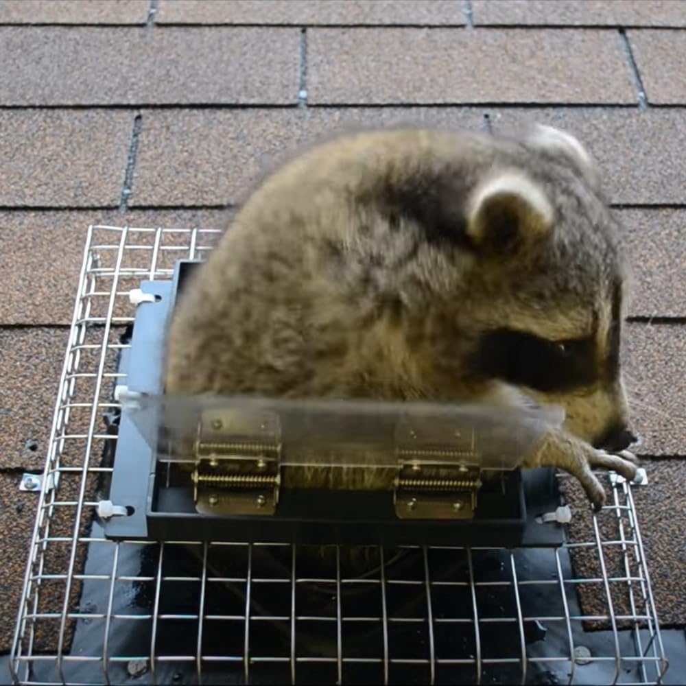 GROWLING safe-exclusion method promotes chemical-free wildlife management and peace of mind.