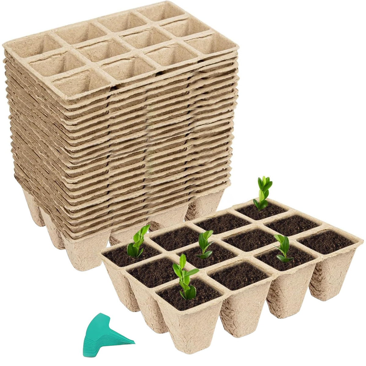 Growneer 288-cells peat pots seed tray for easy indoor seed starting and healthy transplants.