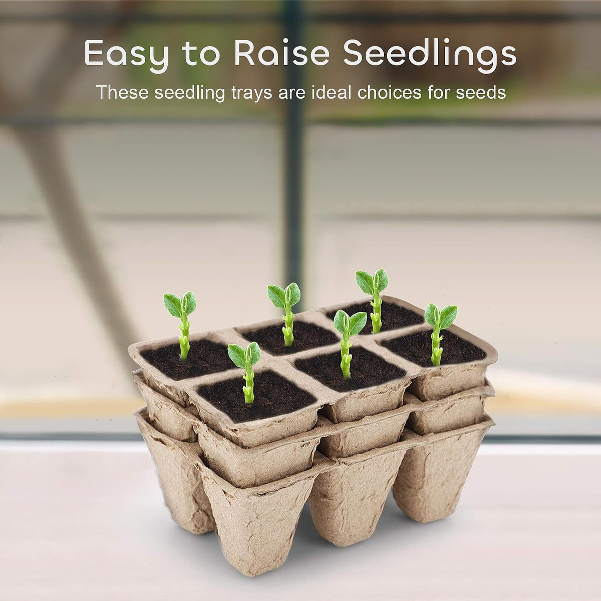 GROWNEER biodegradable seed pots break down naturally after seedlings establish.