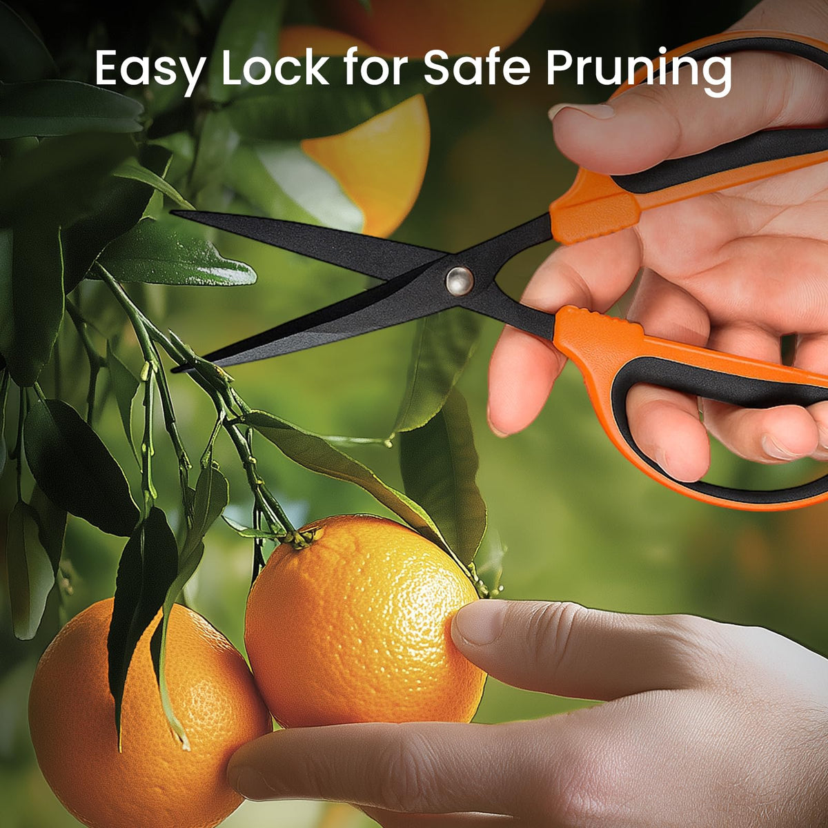 GROWNEER bonsai pruning tools ideal for delicate tree shaping.