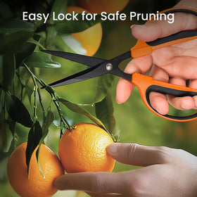GROWNEER bonsai pruning tools ideal for delicate tree shaping.