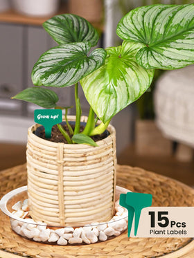 GROWNEER bottom grooves prevent water pooling while supporting healthy pot environments.