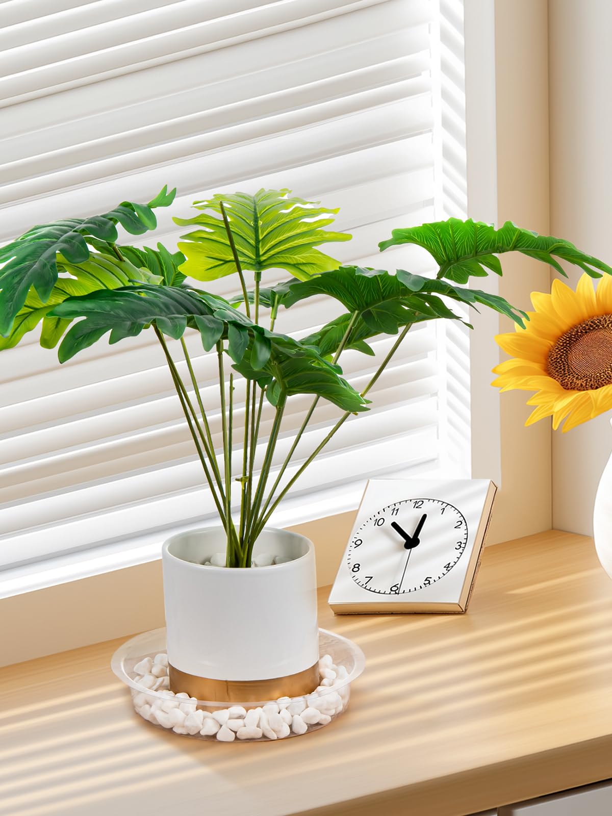 GROWNEER clear saucer top view suitable for neat indoor plant arrangements.