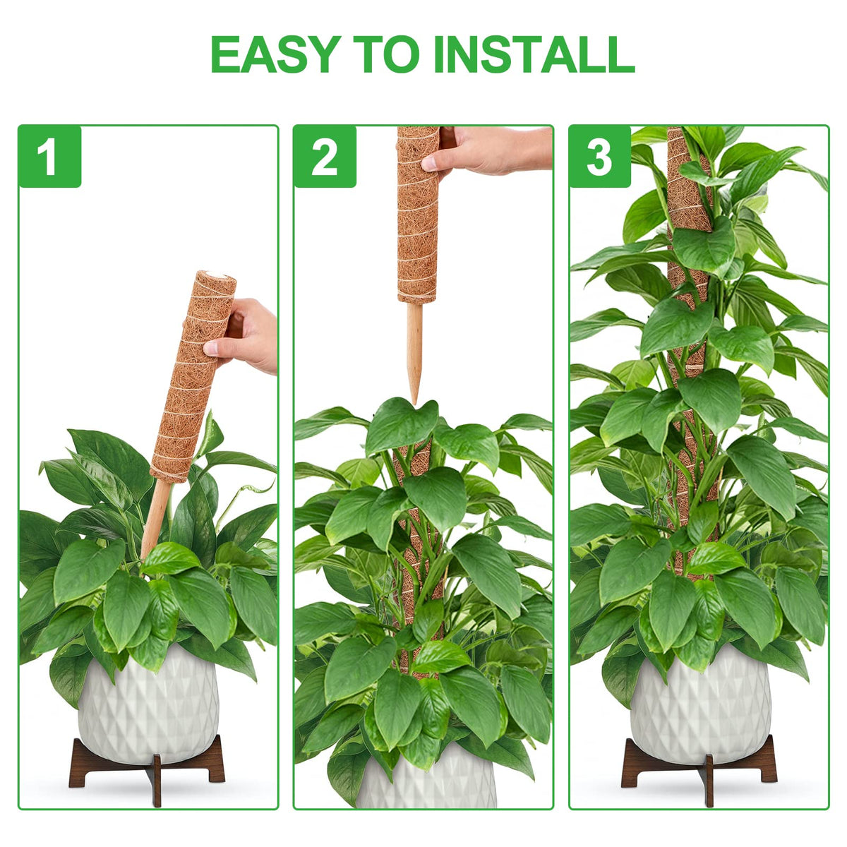 GROWNEER coir moss detail highlights breathable, absorbent material aiding growth.