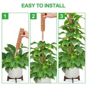 GROWNEER coir moss detail highlights breathable, absorbent material aiding growth.