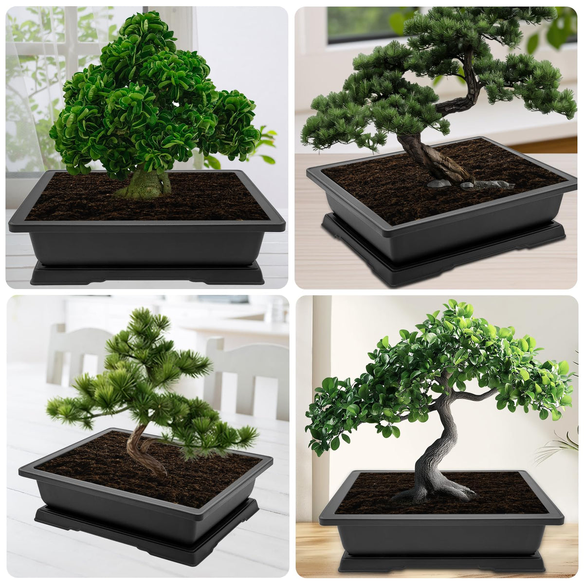 Growneer bonsai starter pot set enhances home decor and plant hobby.