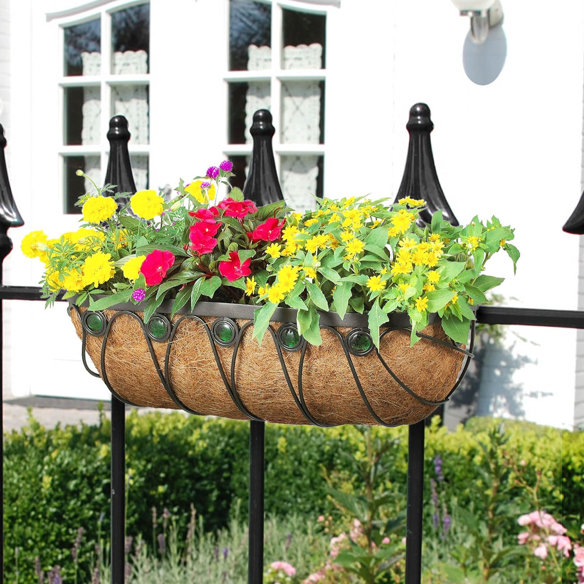 GROWNEER ideal for petunias, geraniums, ivy, and herbs.