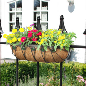 GROWNEER ideal for petunias, geraniums, ivy, and herbs.