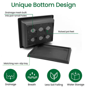 Growneer raised-tray design helps prevent sliding and contains drained water.