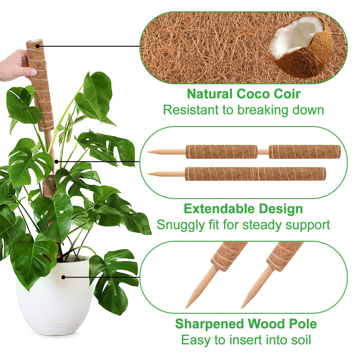GROWNEER stackable coir totem provides sturdy support for climbing plants.
