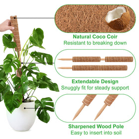 GROWNEER stackable coir totem provides sturdy support for climbing plants.