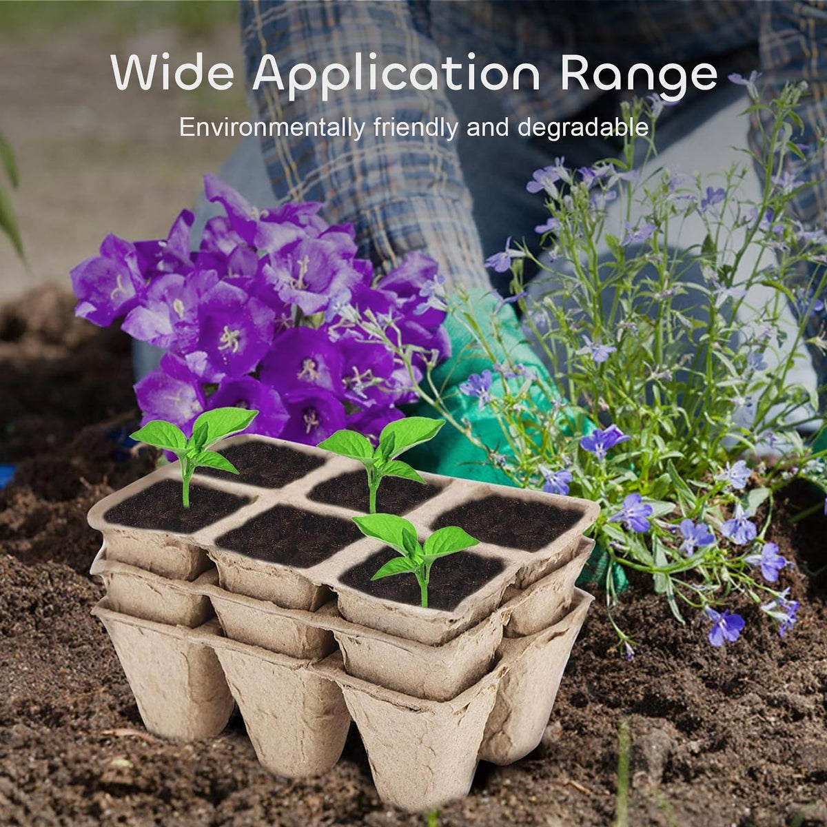 GROWNEER transplant-ready tray demonstrates whole-tray planting into soil.