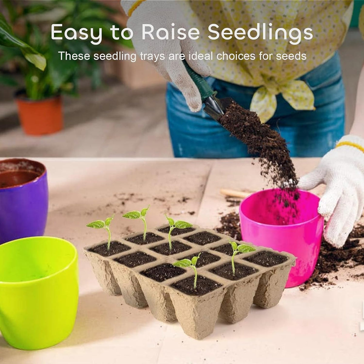 Growneer transplant shock prevention aids smooth transitions from tray to soil.