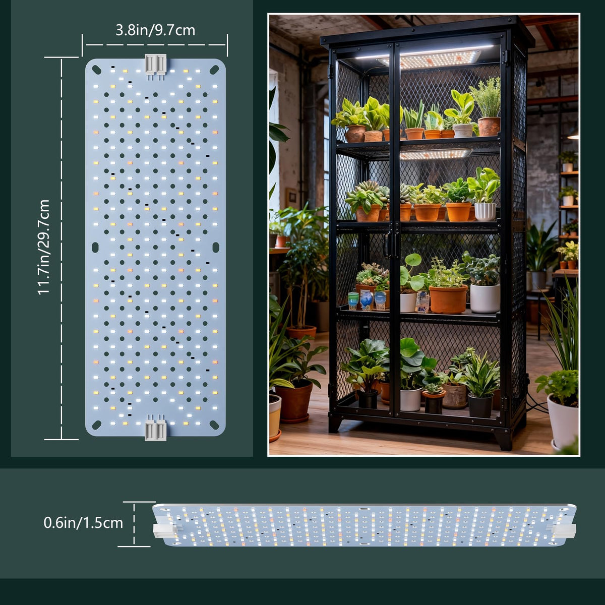 Growstar even light coverage on shelves supporting steady plant growth