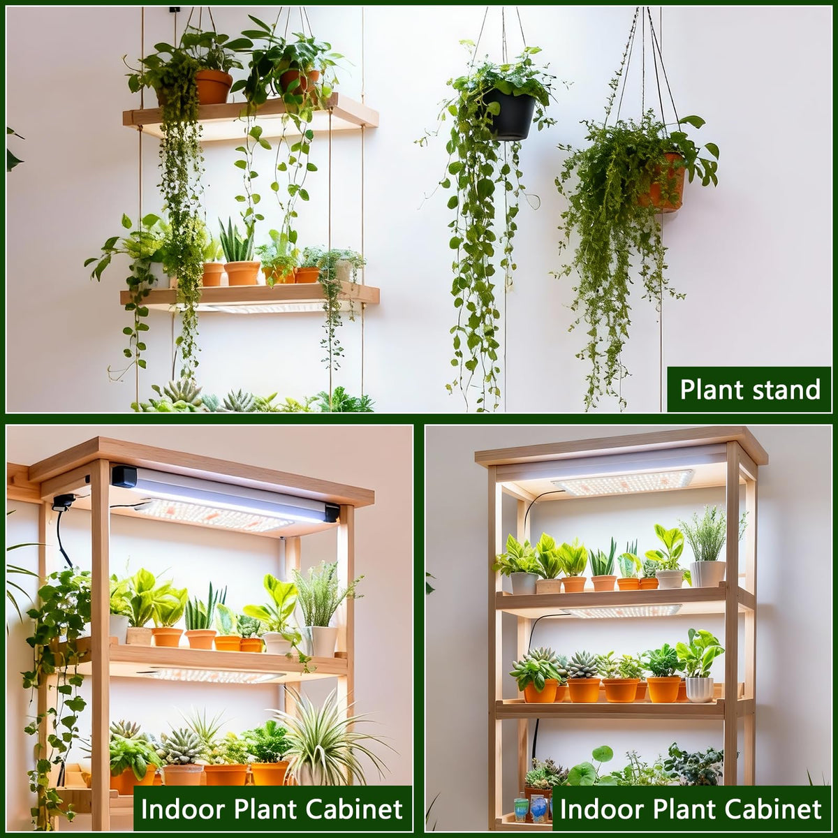 Growstar packaging and branding present a reliable indoor growing kit