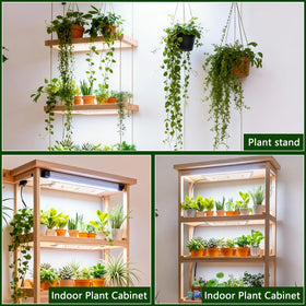 Growstar packaging and branding present a reliable indoor growing kit