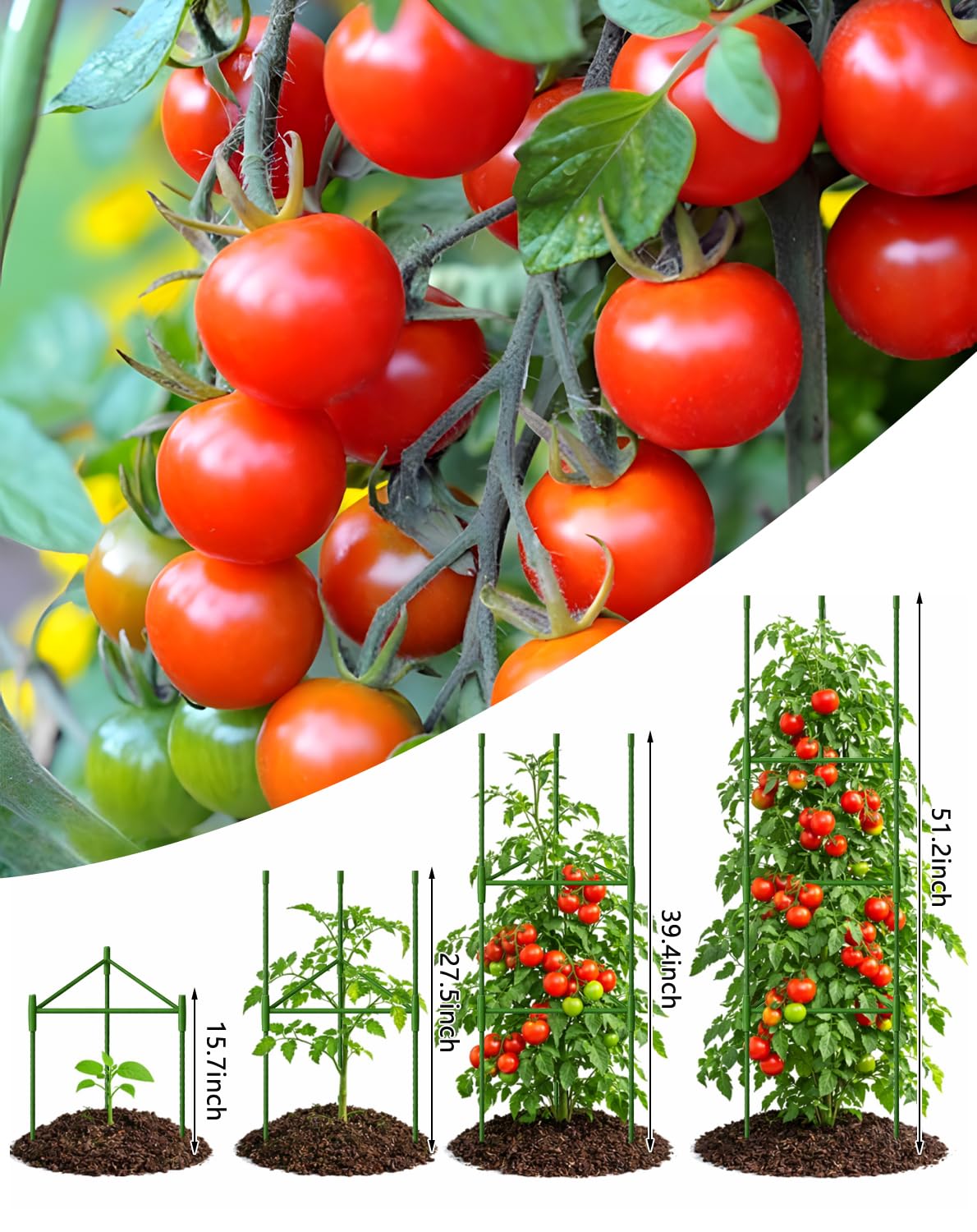Growsun 3-pack tomato cages ready for easy garden setup.