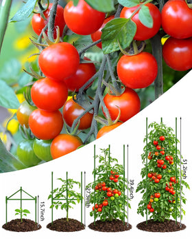 Growsun 3-pack tomato cages ready for easy garden setup.