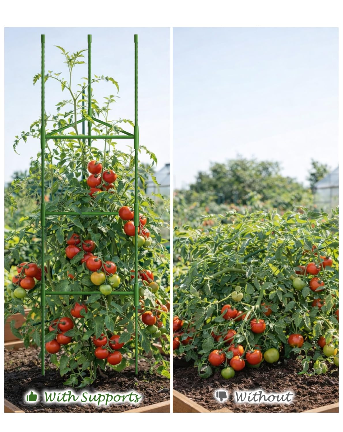 Growsun green metal trellis ideal for cucumbers and beans.
