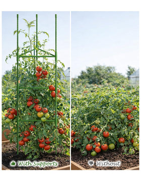 Growsun green metal trellis ideal for cucumbers and beans.