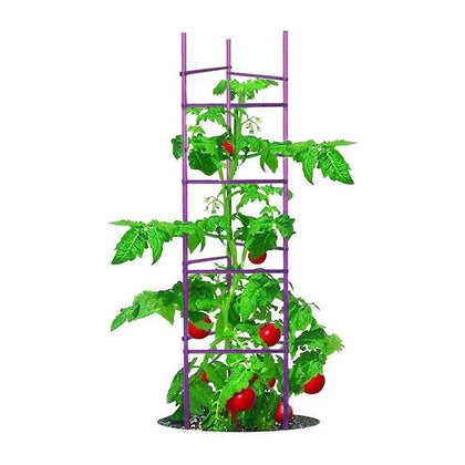 Growsun NO Splicing tomato cage 5ft tall, purple, six-pack provides sturdy vertical support.