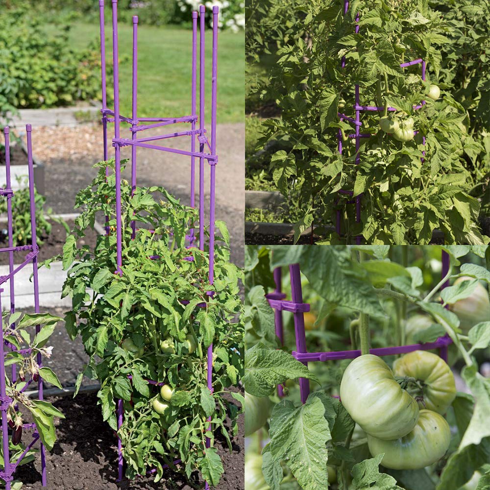 Growsun 5ft tomato cage single-piece design for straightforward installation.